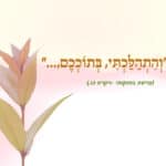 ״וְהִתְהַלַּכְתִּי, בְּתוֹכְכֶם,…״ -פרשת בחוקותי -ויקרא כו.