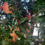 ״אני מרגישה כאילו כל העולם נגדי…״